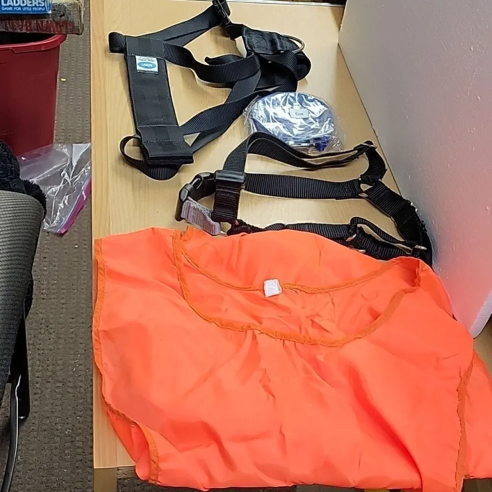 Large‎ dog seat belt, harness, lead and night vest for the walker